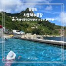 울릉푸른나무 이미지