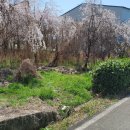 고성읍사무소 이미지