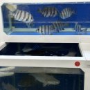 울림축산 이미지