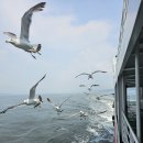 솔향기힐링펜션 이미지