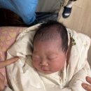 신 부림의원 | 세종 서산부인과 39주 제왕절개 4박5일 입원,유도분만 후 제왕절개 엔딩(주절주절 조심)/제왕절개 비용