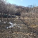 부영최고부동산 공인중개사사무소 이미지