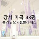 강서구-43 이미지