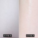 에코화장품 네이버블로그