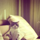 파란민박 이미지