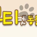 뷰티펫동물병원 이미지