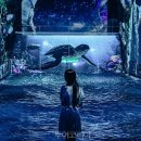 패밀리관광여행사(주) 투어코리아