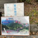 김밥킹천상점 이미지