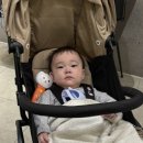빽다방안양예술공원점
