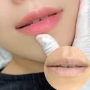 대한장례복지공사 | [일산 뷰티] 칙칙한 입술 안녕👋 아이브에서 오버립으로 생기찾은 리얼 후기 (내돈내산)