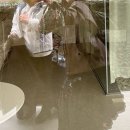 협재차경 별뉘 이미지