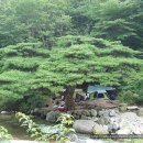 거창-위천-8 이미지