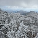 본죽 증심사입구역점 | [등산일기 #13] 241208 광주 무등산 증심사-중머리재-장불재-서석대 코스ㅣ등린이, 자차, 뚜벅이 추천