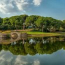 글로리아골프 이미지