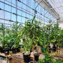 헬로우마켓 이미지