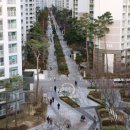 잠실파크리오아파트앞 이미지