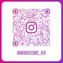 미니썸(minisome)