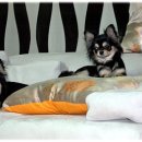 패밀리와와 이미지