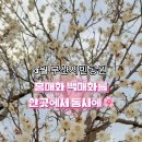 매화공원 광장 이미지