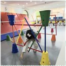 단국대 바른 태권도장 이미지