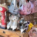 빙그루밍 이미지