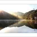 세량제 이미지