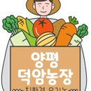 양평덕암농장