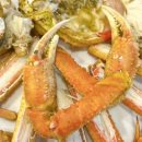 스테이옹치 이미지