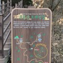 건천 편백나무숲 티스토리