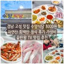 충격정식 | 경남 고성 맛집 수양식당 8000원 자연산 회백반 정식 후기 가성비 끝판왕 TV 맛집 추천