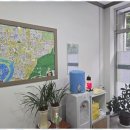 에코공인중개사사무소 이미지