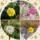 설화명곡역 3번출구 이미지