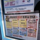 가을동물원 | 서울대공원 동물원 가을 단풍구경 후기 | 입장료 코끼리열차 리프트 패키지