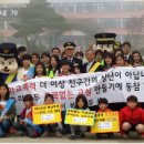 백사초교 이미지