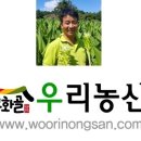 목화골 이미지