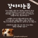구지동물병원 이미지