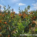 정진수농장 이미지