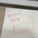 너도나도 | (유행탑승성공) 너도나도 가는 동대문 볼꾸 후기 + 오코노미야키 맛집 ‘키노이에’