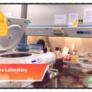 주식회사 르네상스바이오 이미지