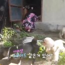 대길한복 이미지