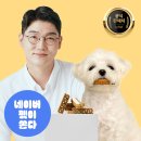 수덴탈 | 바이레프 허니콤츄 닭고기맛 설채현 덴탈껌