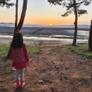 GS25 장항솔바람점 이미지