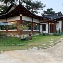 조가네갑오징어원주점 이미지