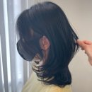조일헤어샵 - 영주시 | 부산 해운대/장산미용실 중단발레이어드펌잘하는 “시에라헤어” 시현헤어디자이너 대만족후기