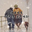 가소 이미지