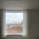 스테이 그로브 이미지