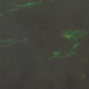 자갈치역 이미지