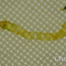 진해구 ⓒ-37 이미지