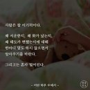 어떤하루 이미지
