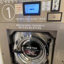 다정한족발 | 너는 여름이자 바다이며 다정한 정원 속의 시